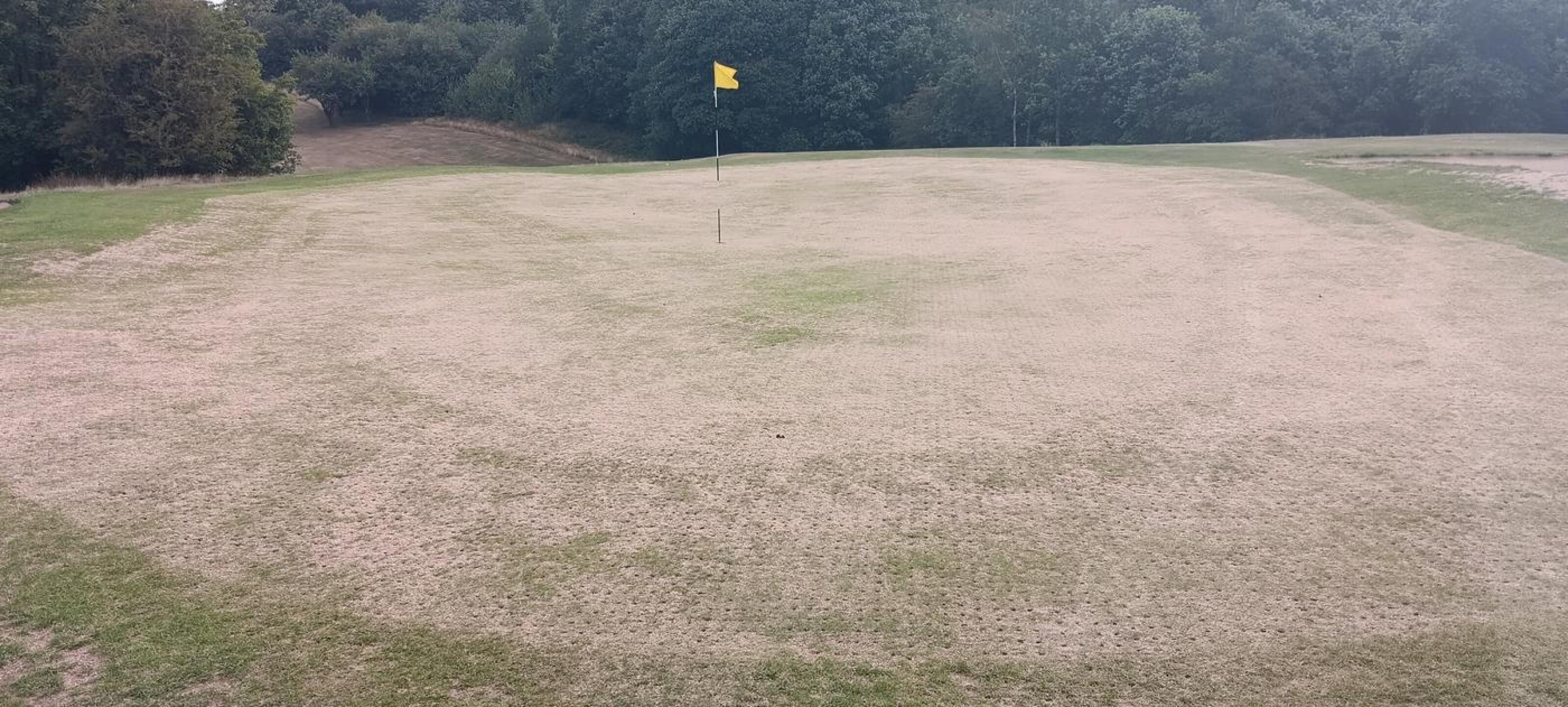 (Photo submitted by RichardGee on 08/06/2025)