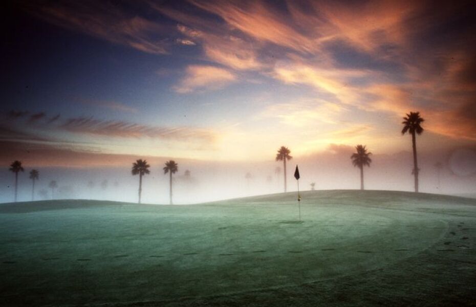 Palm at Sunol Valley Golf Course in Sunol, California, USA GolfPass Palm at Sunol Valley Golf Course in Sunol, California, USA GolfPass