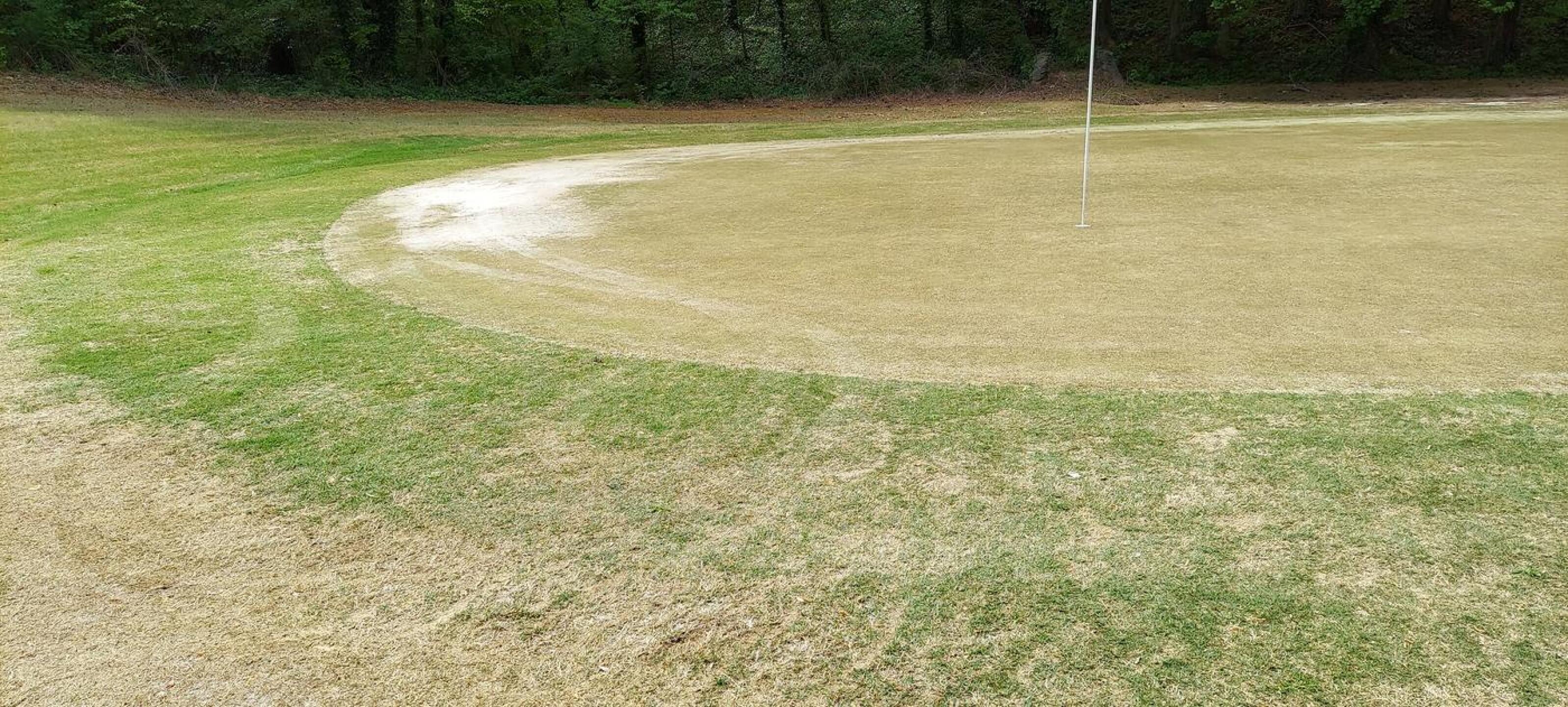 (Photo submitted by u621076289 on 04/23/2022)