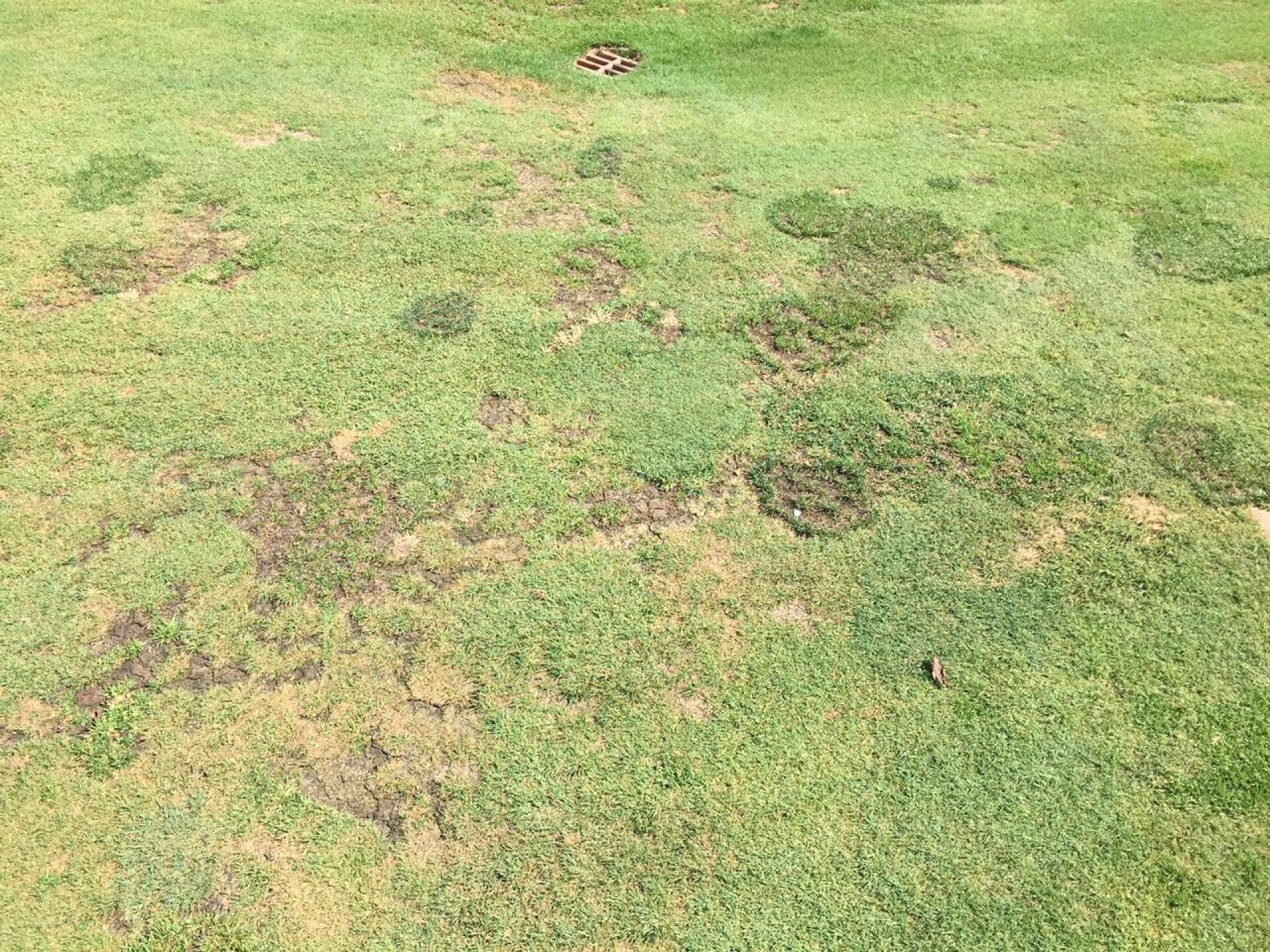 1st fairway (Photo submitted by chris1806909 on 09/22/2015)