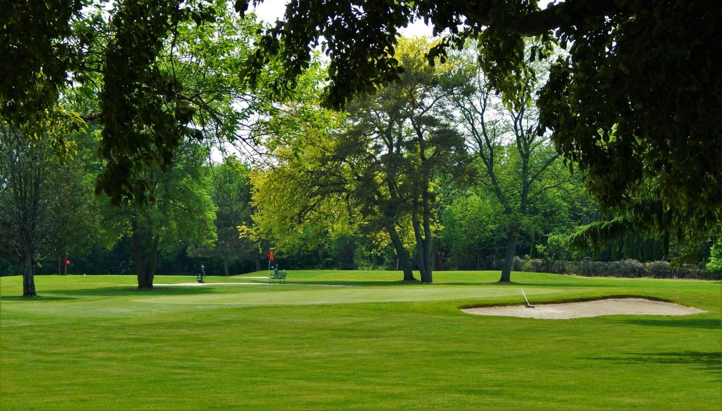 (Photo submitted by alex8548335 on 05/30/2016)