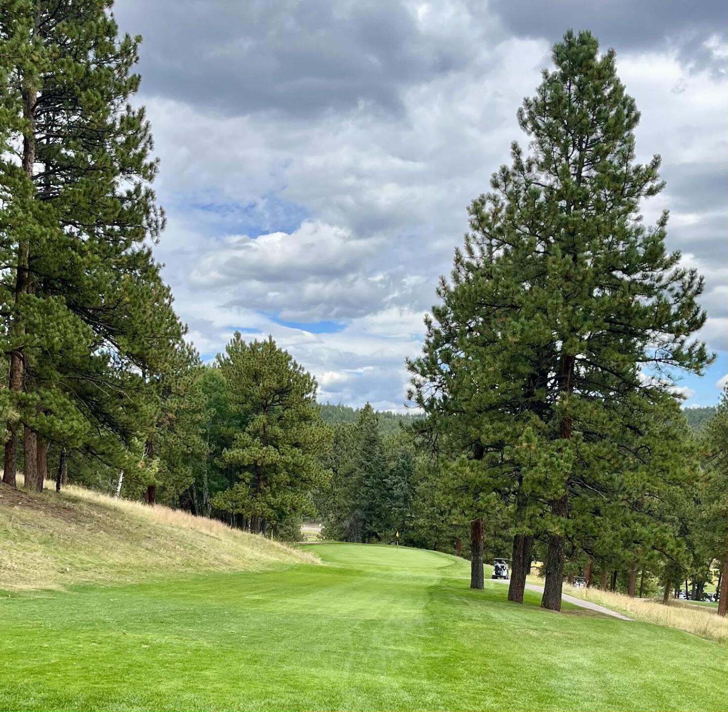 Narrow par 3 8th (Photo submitted by QuantumGolfx on 09/26/2025)