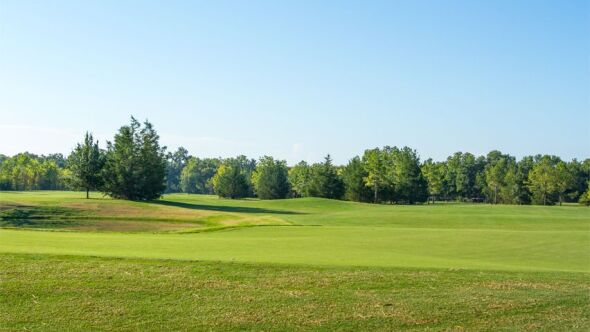 David Toms Academy 265