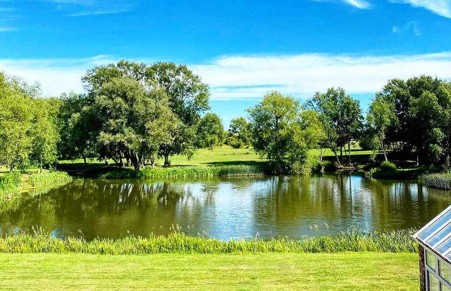 Kingfisher CC