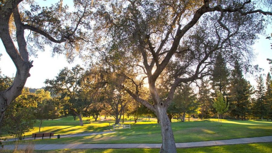 Bennett Valley GC