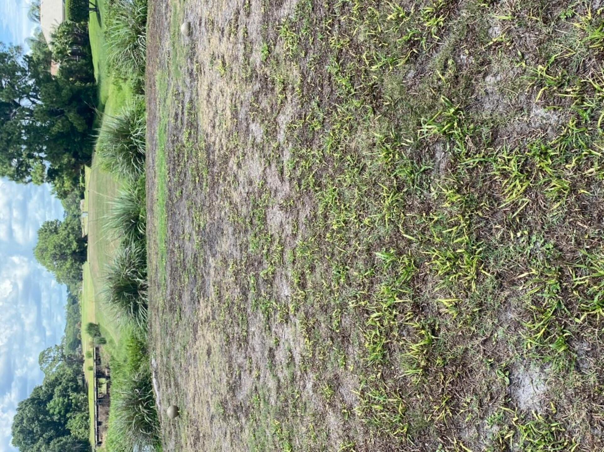 Tee Box for #8 (Photo submitted by PinnacleStaffer on 07/06/2020)