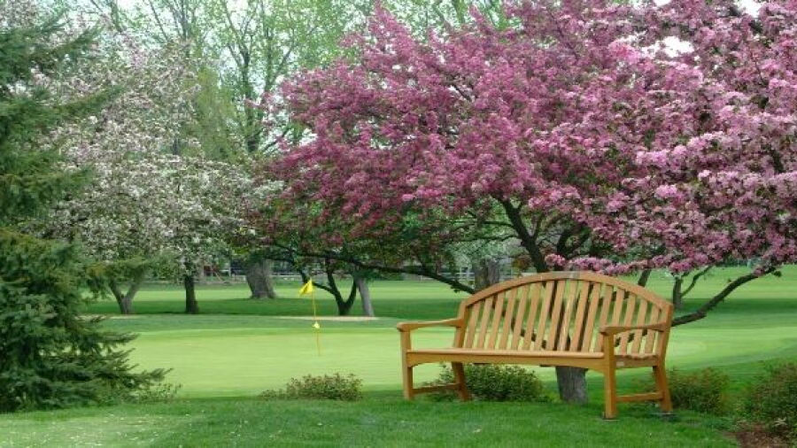 Champaign CC