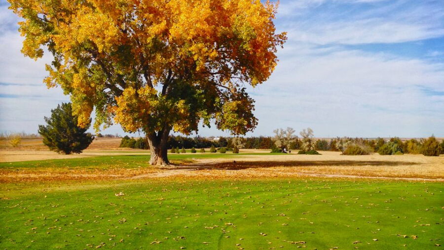 Enders Lake GC