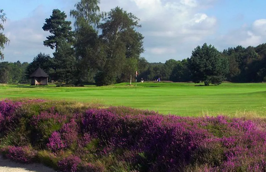 Walton Heath GC - New: #16