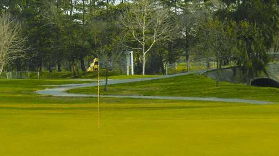 Bing Maloney GC