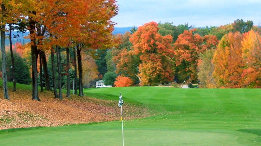 Martindale CC