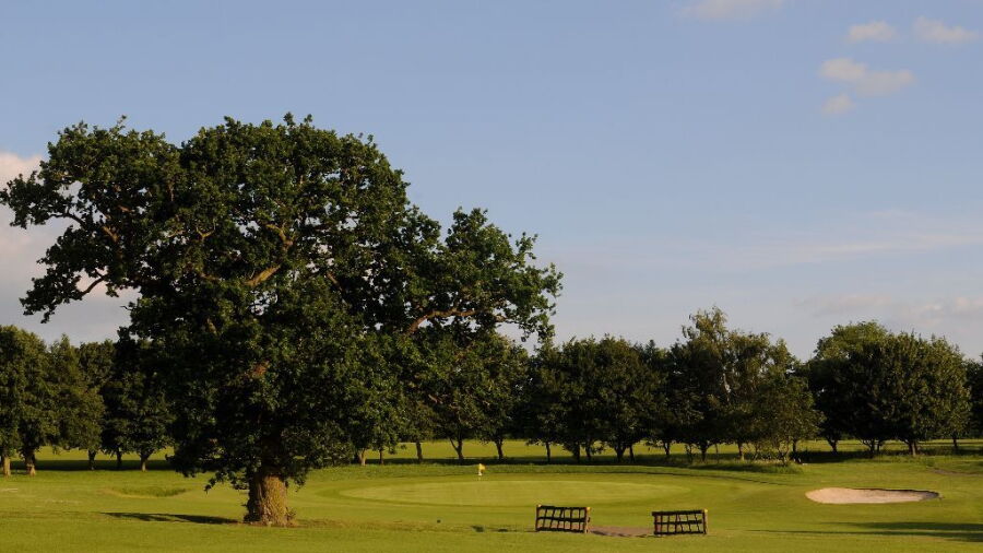 Ullesthorpe Court 