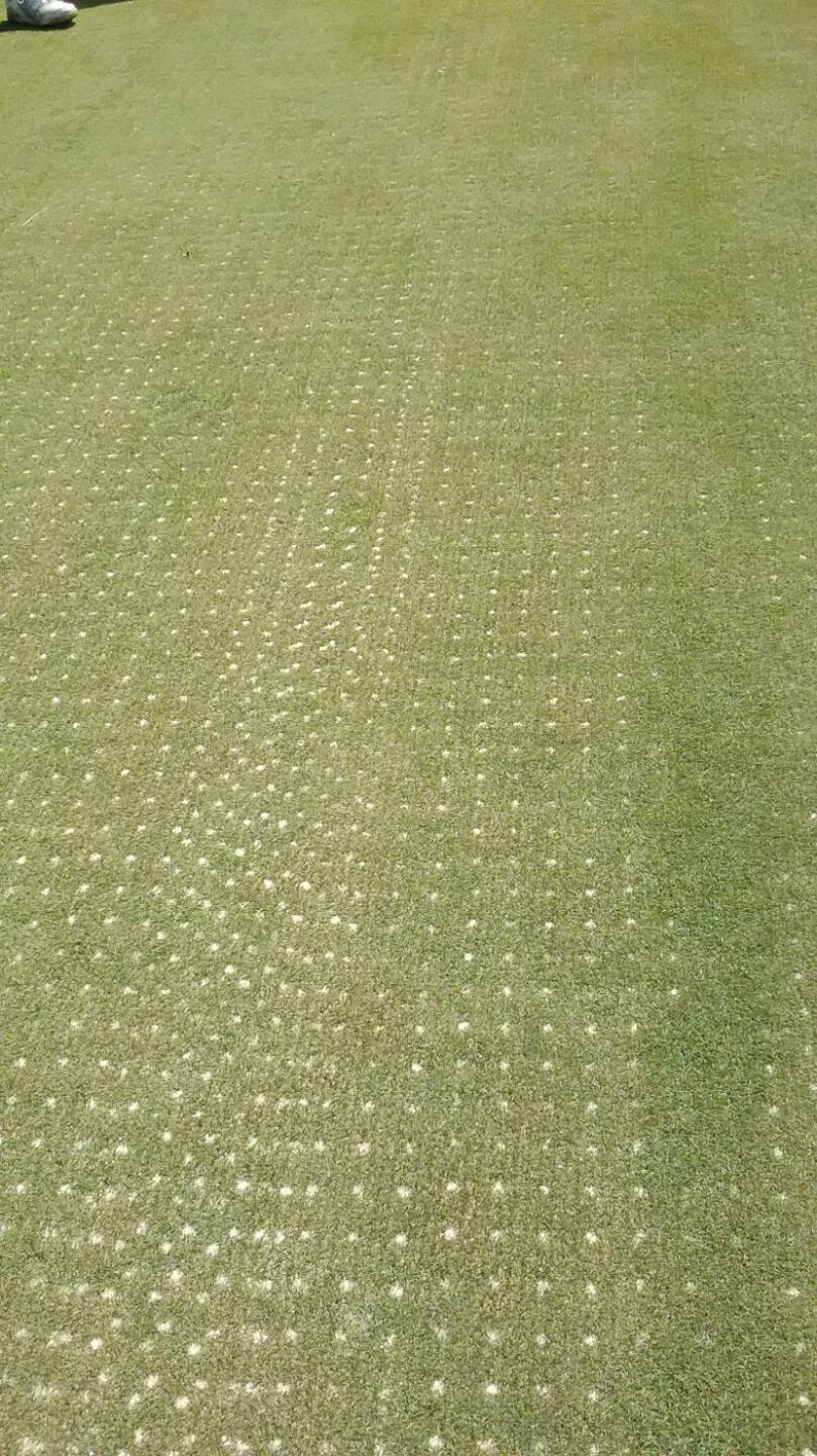 The greens are not even Trump dressed you cannot put on these greens (Photo submitted by Golfnutoh on 05/27/2019)