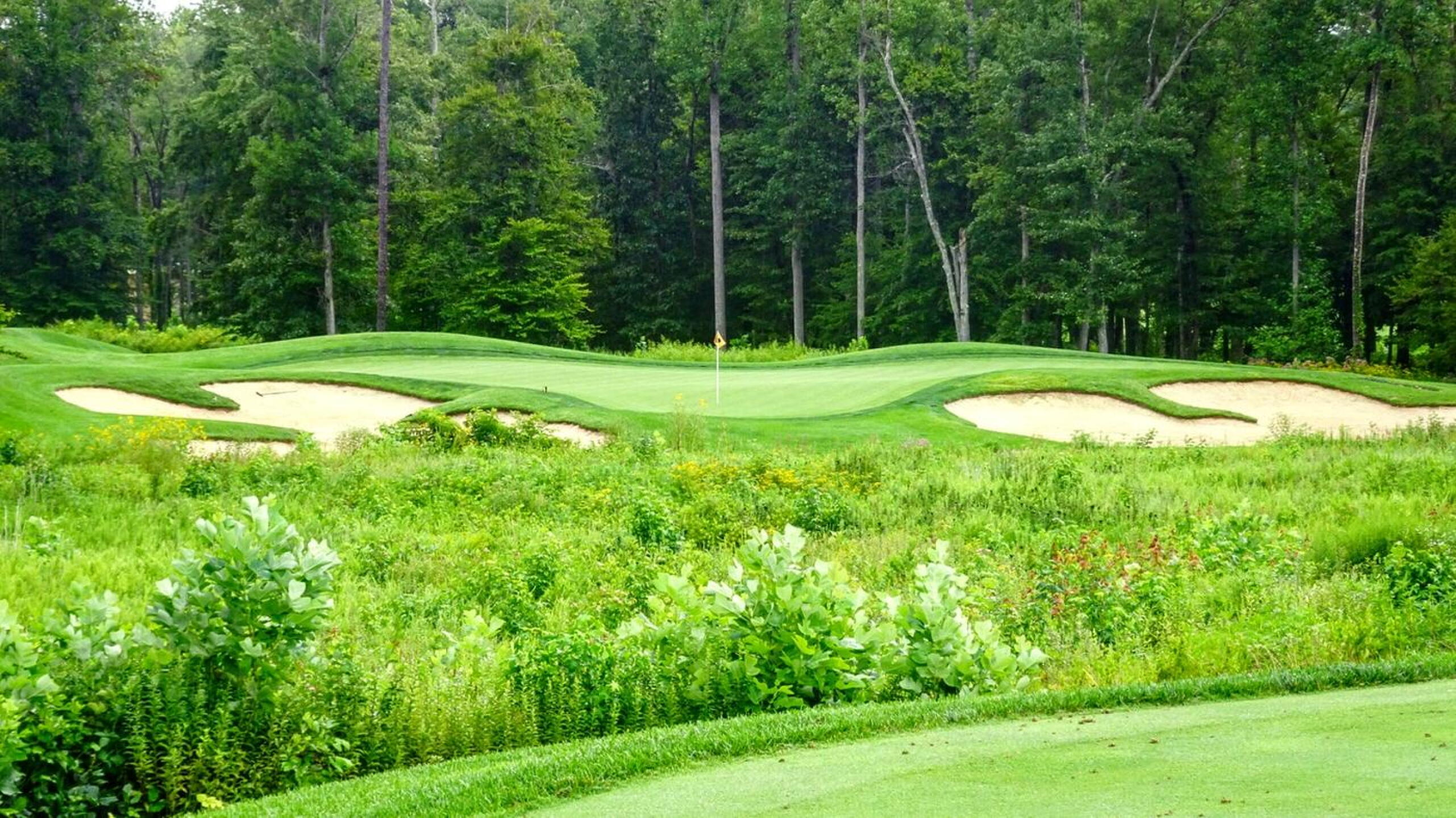 The par-3 13th is one of the tougher short holes on the course and one of my favorites. (Photo submitted by Back9Ben on 08/05/2018)