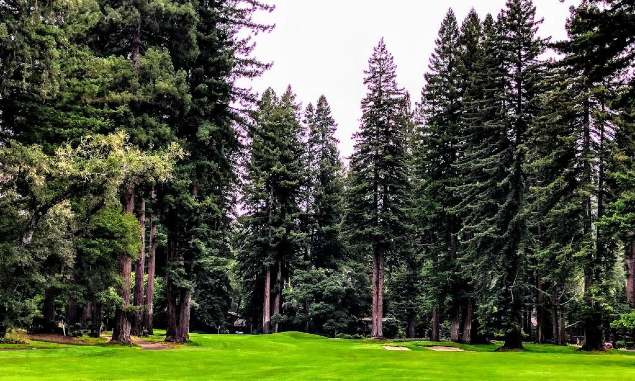 Northwood Golf Club in Monte Rio, California, USA | GolfPass