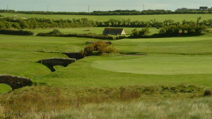 Trevose GCC - Short
