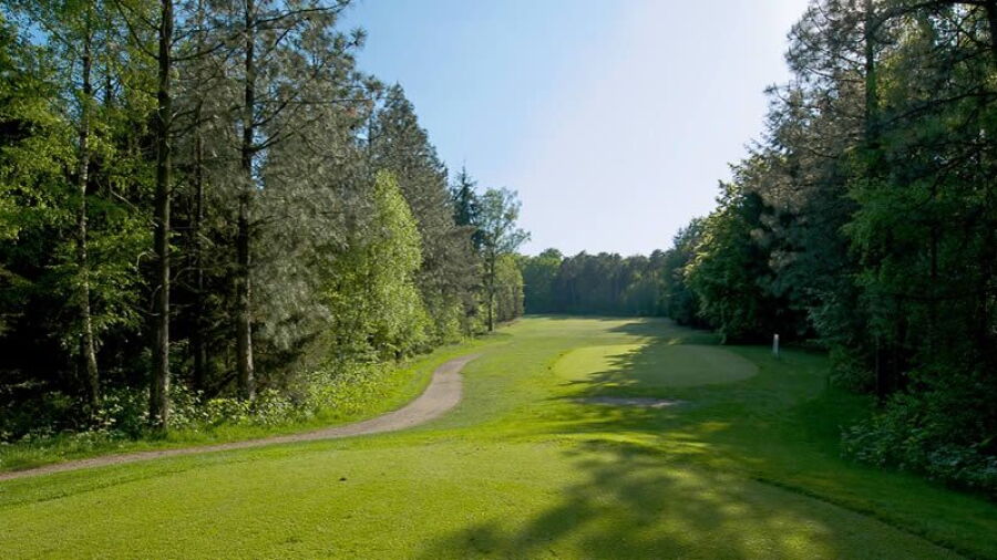 Vechta Welpe GC