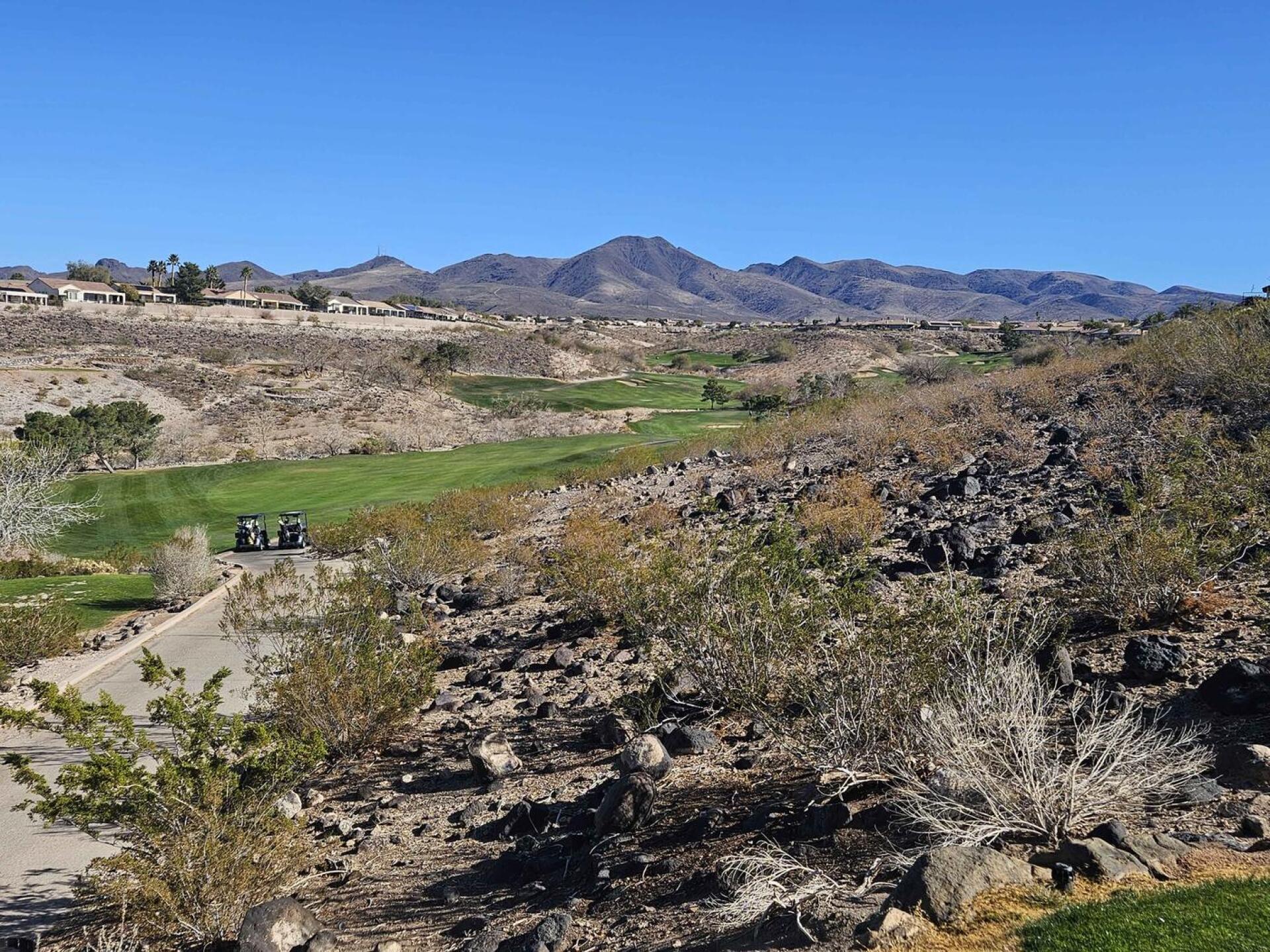 (Photo submitted by u314161622535 on 02/21/2025)