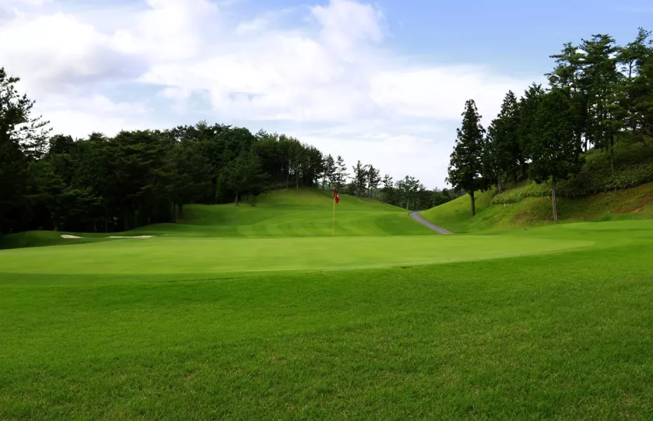 Tarao Country Club - East: #8