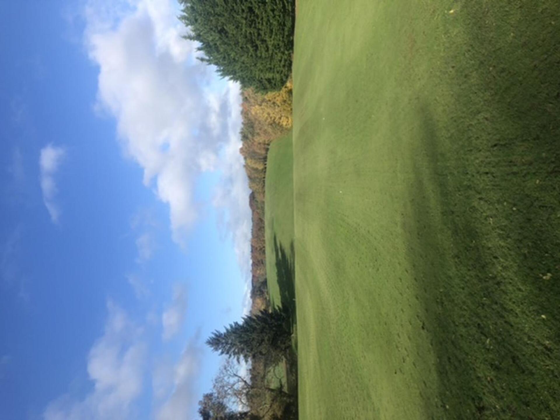 (Photo submitted by aQxNE23xIcUUui7iQcOl on 10/27/2020)