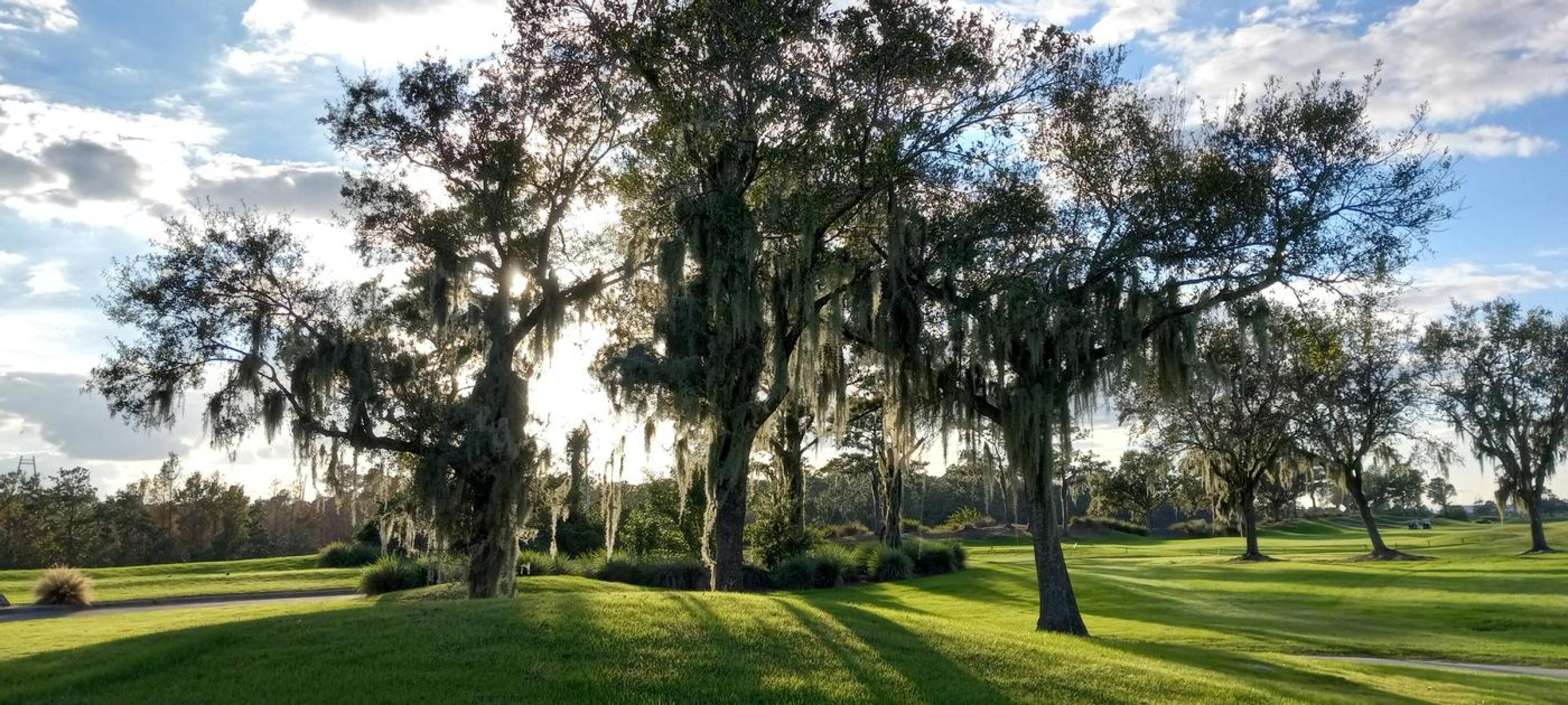 (Photo submitted by u818203141 on 12/09/2022)