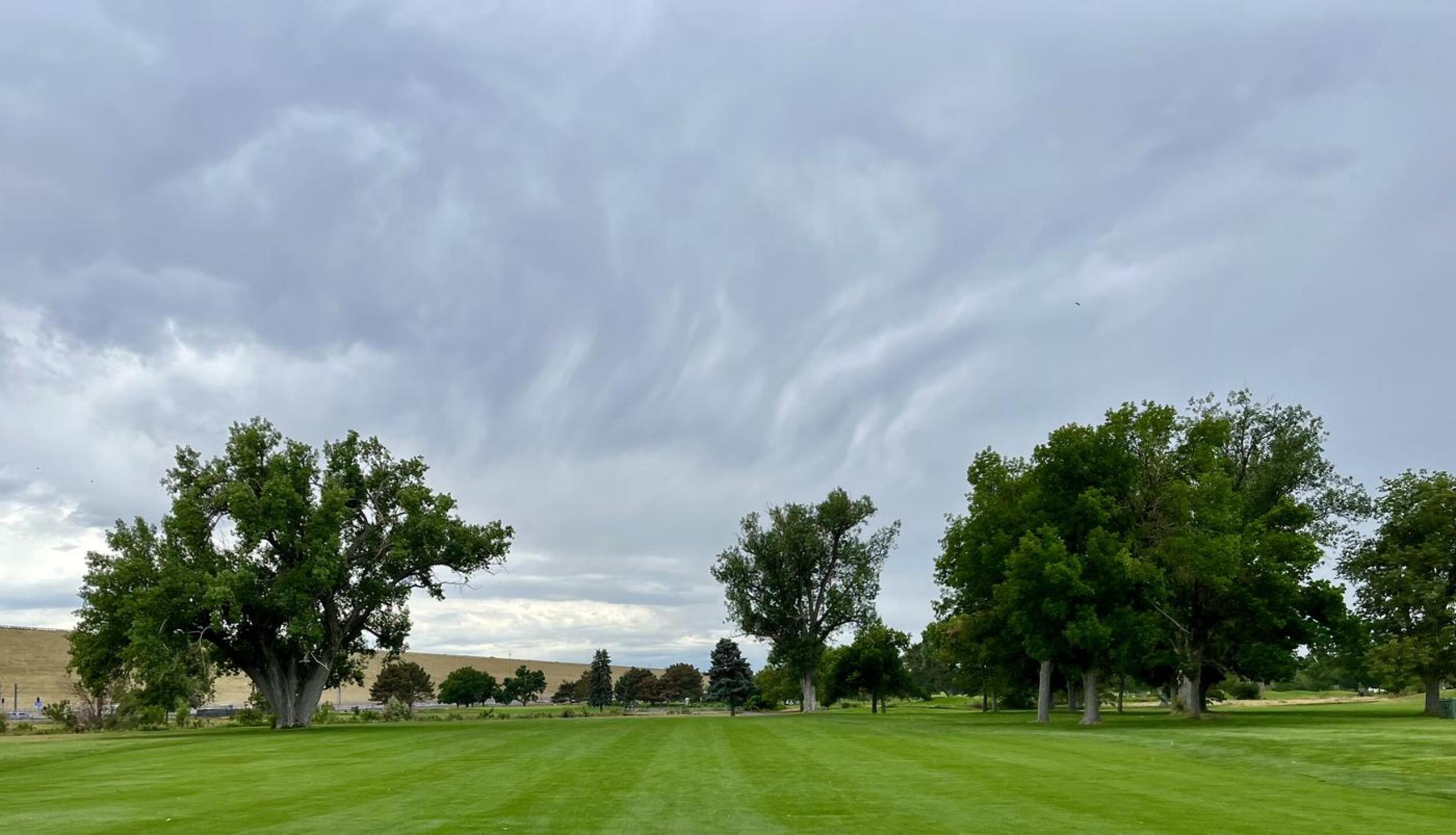 (Photo submitted by QuantumGolfx on 07/11/2022)