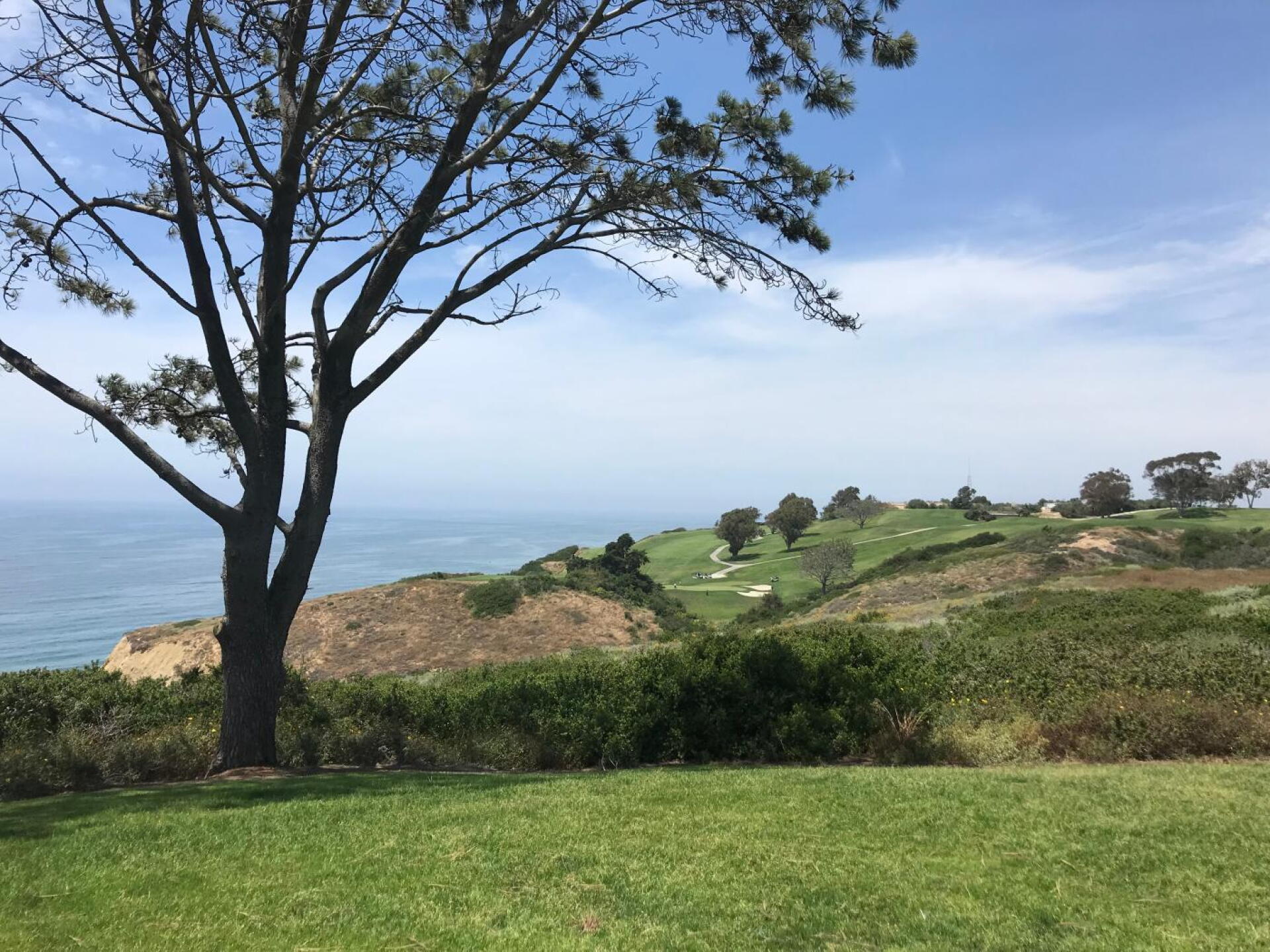 (Photo submitted by theglasseyegolfer on 05/22/2019)