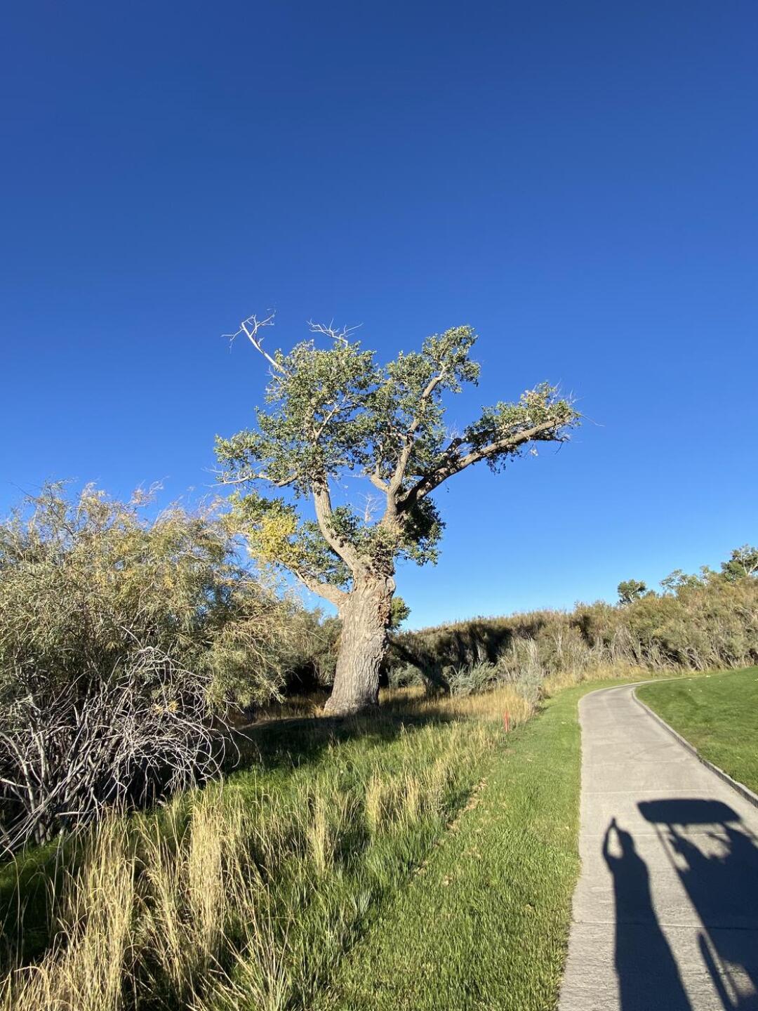 (Photo submitted by u314162237609 on 09/30/2021)