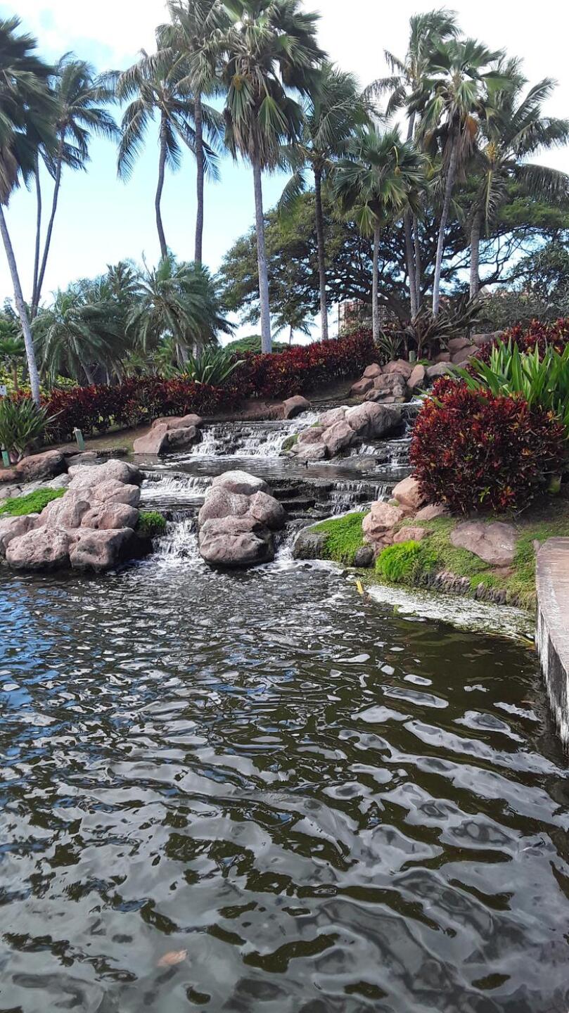 (Photo submitted by gtmaxwell63 on 02/16/2020)