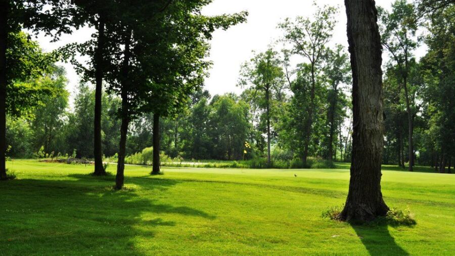 ShadowBrooke GC: #14
