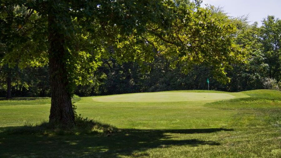 Cruz Farm GC