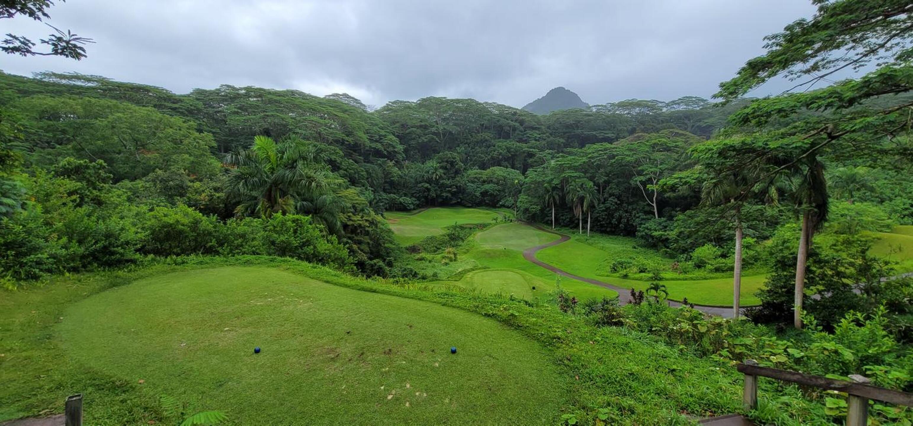 (Photo submitted by hVivnksJLWkmb78kFRpm on 04/24/2024)