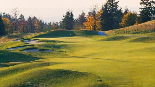 GC At Newcastle - China Creek: #17
