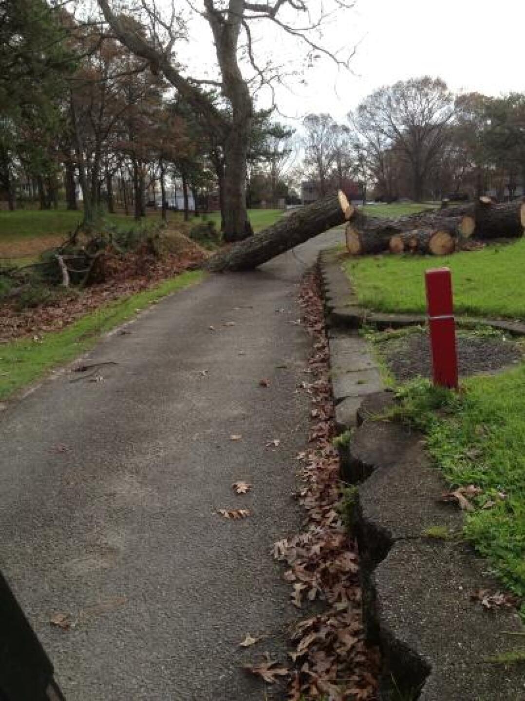 Hurricane Sandy damage! (Photo submitted by Terrig on 11/14/2012)