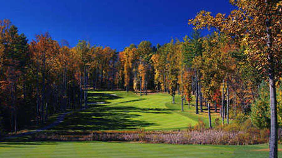 Trillium Links: #7