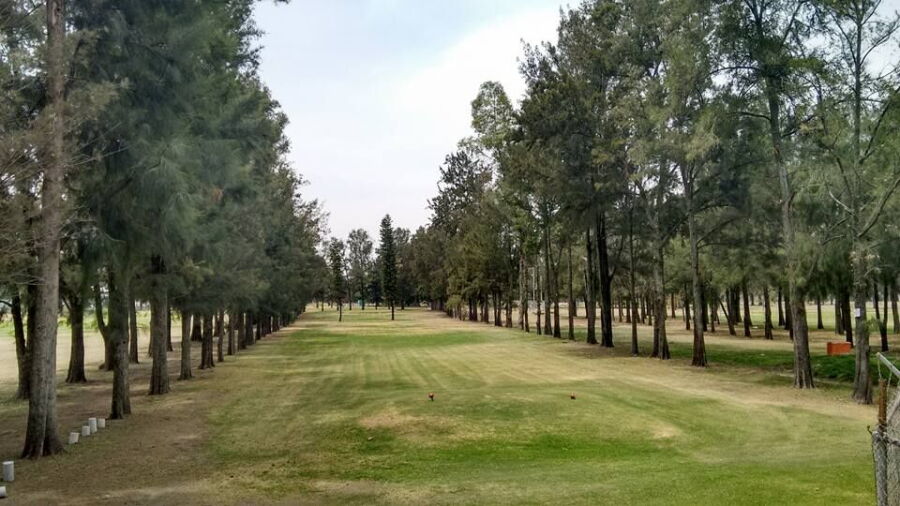 Celanese Club de Golf: #4