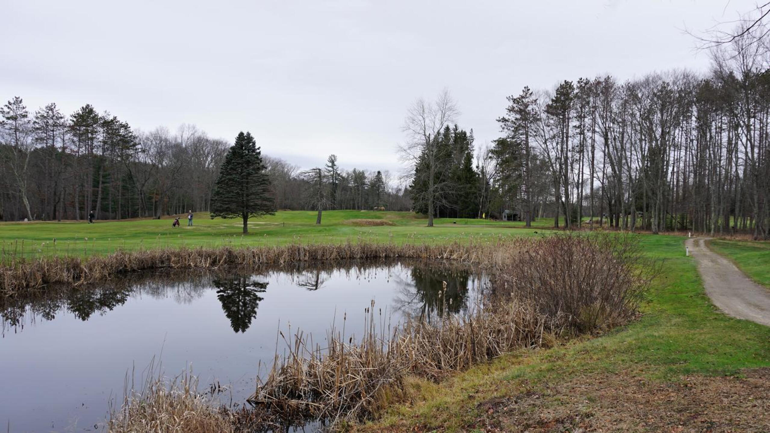 Austere November beauty: a view of fairway four (to the left) and green five over this marshy pond. (Photo submitted by AptlyLinked on 11/23/2020)