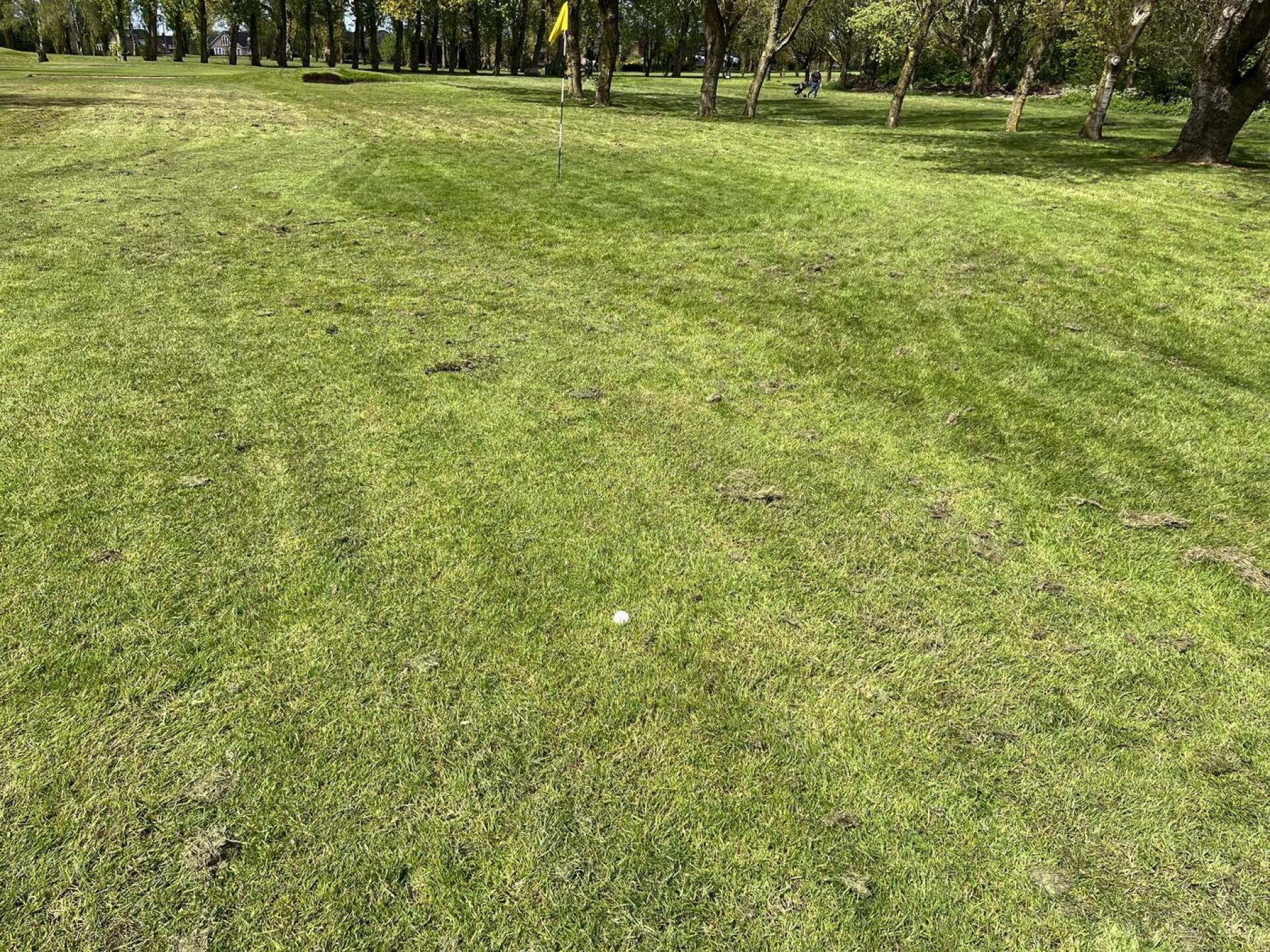 (Photo submitted by John3620 on 04/24/2024)