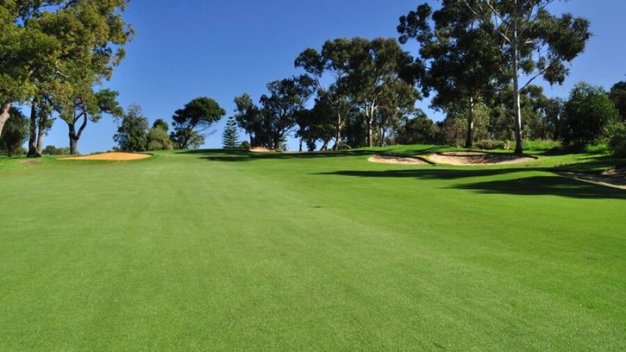 Western Australian GC: #8
