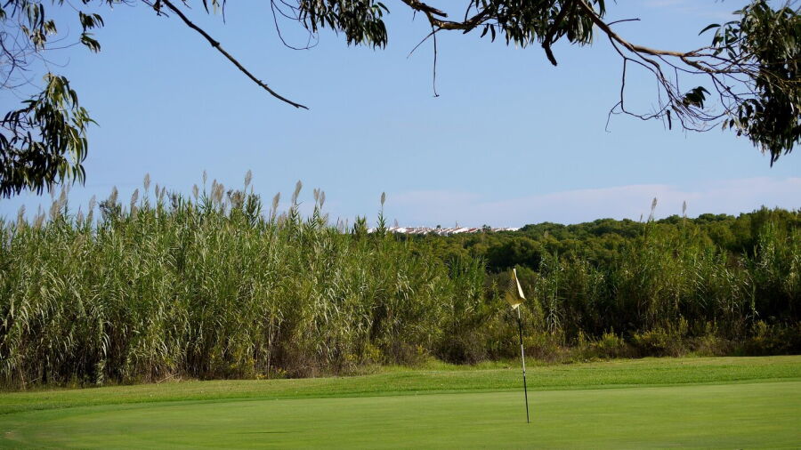 Golf Son Parc Menorca: #14