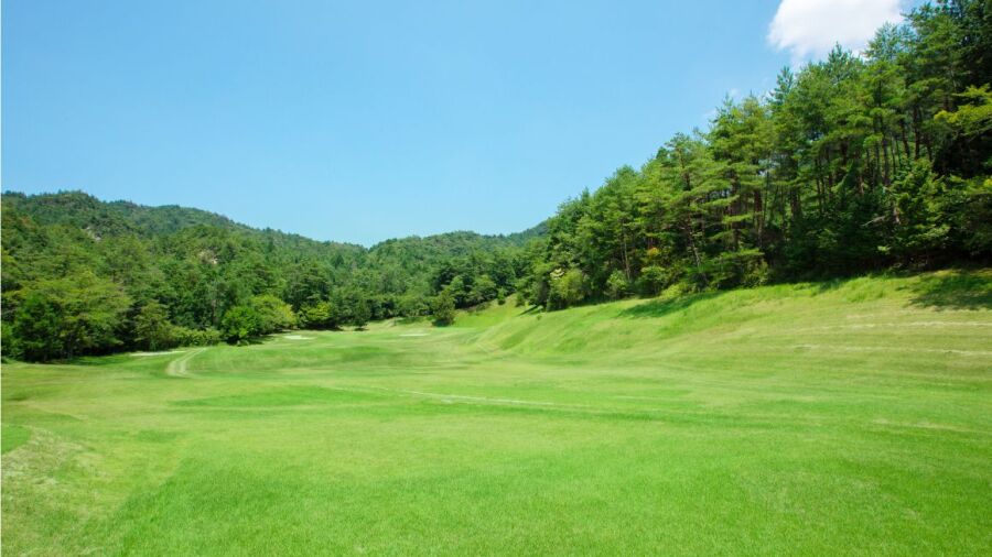 Orange Shiga CC: #16