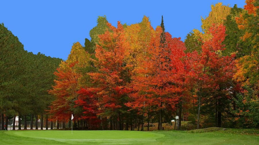 St-Remi Golf