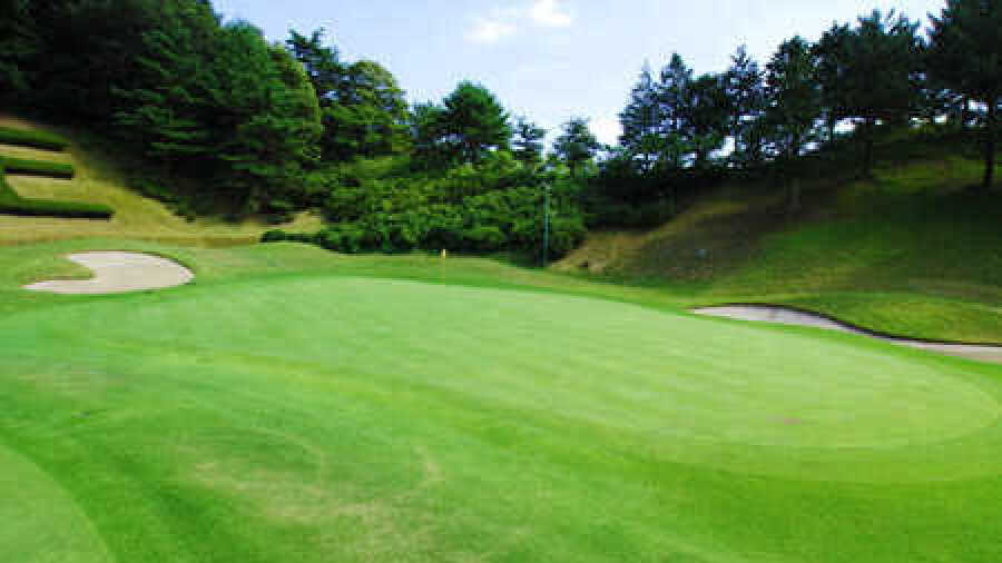 Tokyo Birdie Club: #11