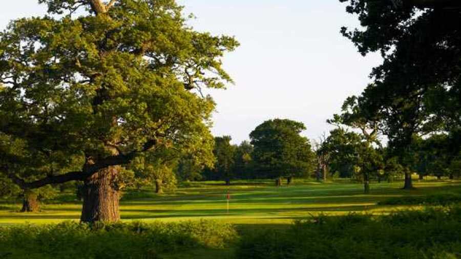 Forest of Arden CC - Aylesford: #5