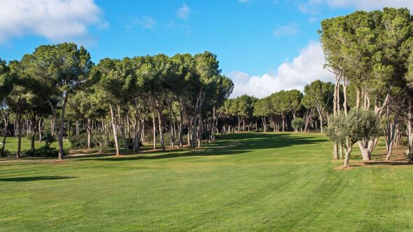 Golf Santa Ponsa II