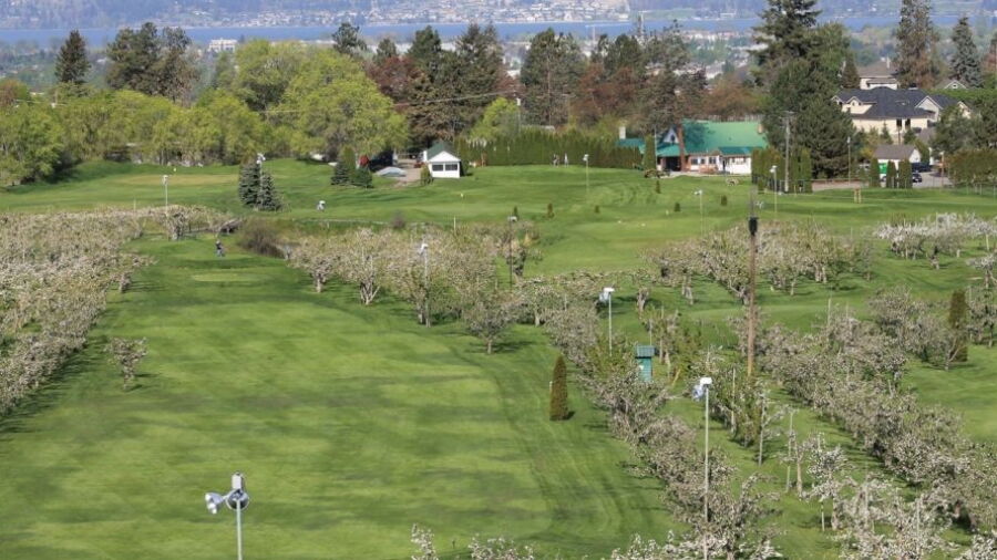 McCulloch Orchard Greens GC