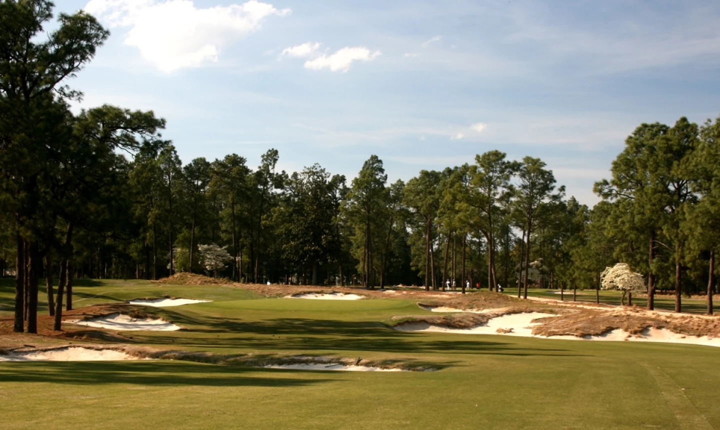 Pinehurst No. 2 golf course - hole 16