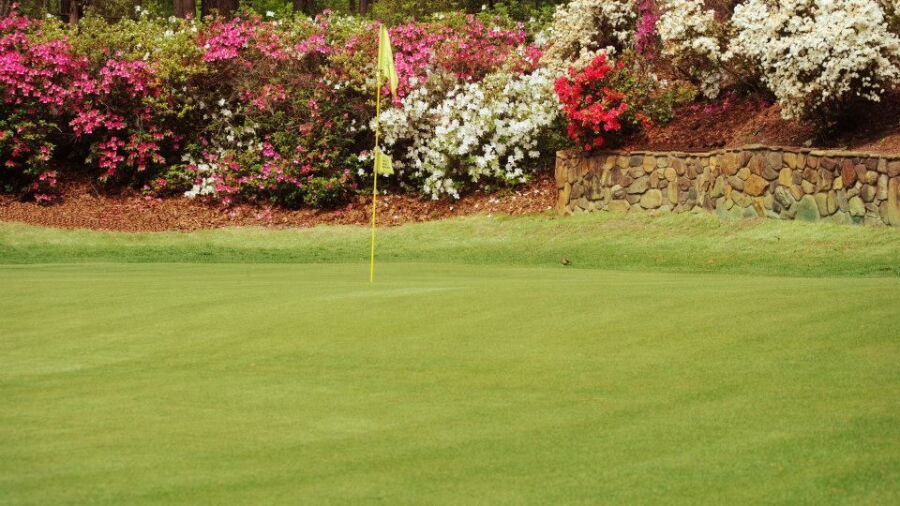 Golden Hills CC: #17