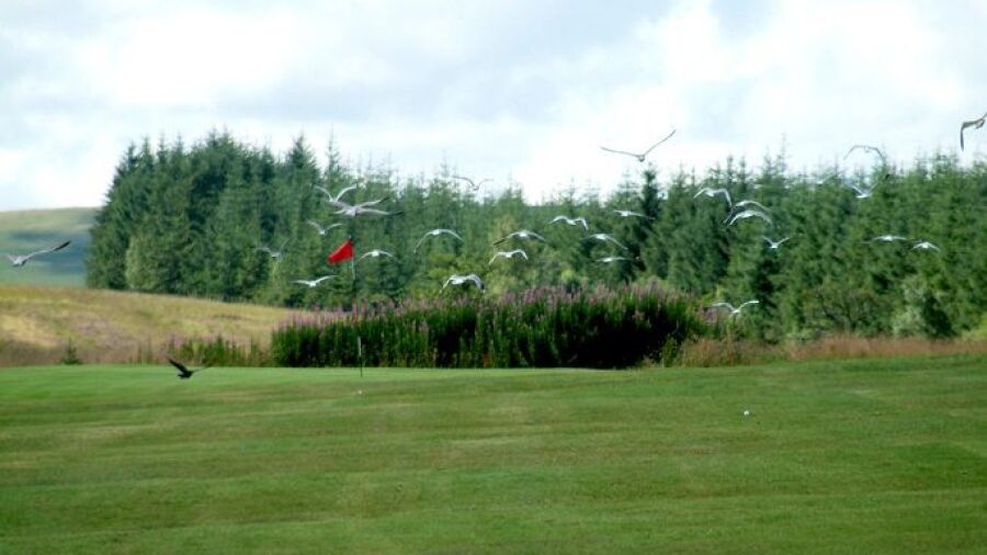 Douglas Water GC: #5