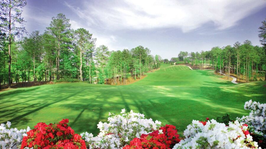 Governors Towne Club